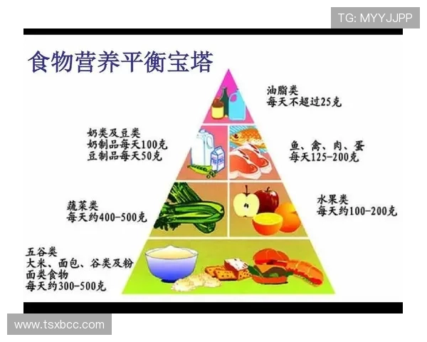健身与健康生活的完美结合：从科学饮食到有效训练的全方位指南