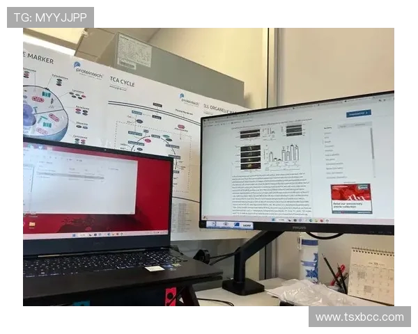 全球总决赛分析：JDG战术布局与执行力的深度剖析