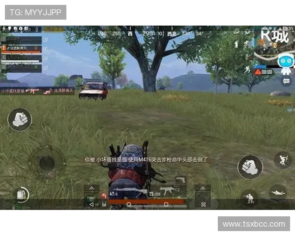 和平精英最新状态排行榜揭晓WE战队荣登第七名引发关注