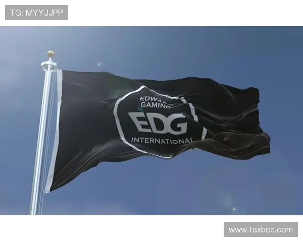 英雄联盟深度解析：EDG战队在比赛中的耐力与韧性展现