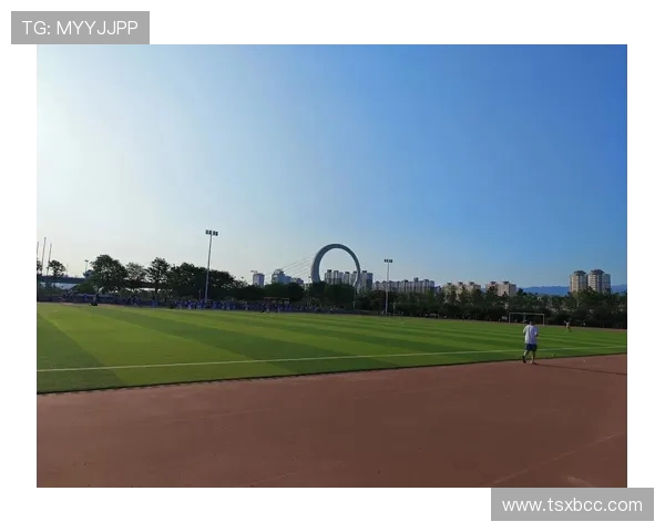 运动与健康相伴：全面解析如何通过运动提升体能与生活质量