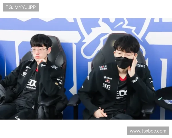 以Meiko辅助为核心构建高效团战体系的策略与实战解析